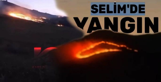 Kars'ın Selim İlçesinde Anız Yangını: Alevler Rüzgarla Yayılıyor