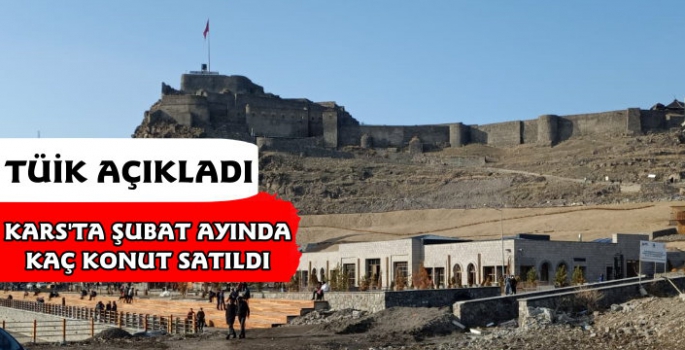 Kars'ın Şubat Ayı Konut Satış İstatistikleri Açıklandı