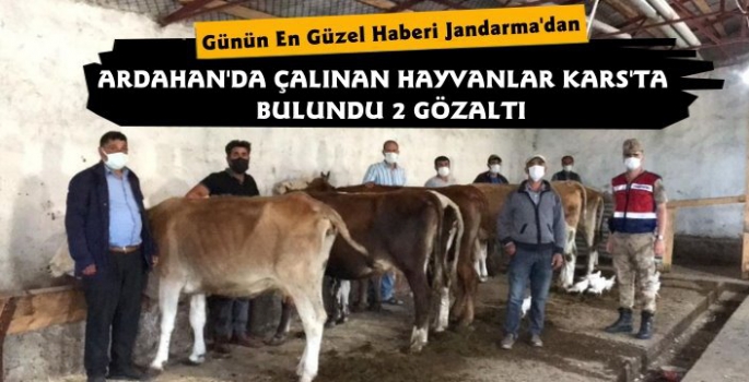 Kars Jandarmadan Hayvan Hırsızlarına Darbe 2 Gözaltı