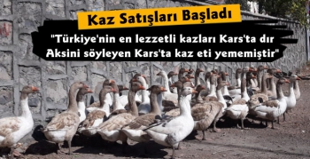 Kars Kazları Satılmaya Başlandı