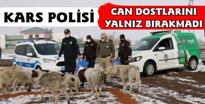 Kars Polisi Kısıtlamada Sokak Köpeklerini Unutmadı