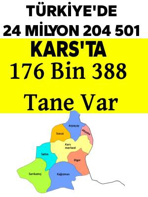 Kars'ta 176 Bin 388 Tane Var!