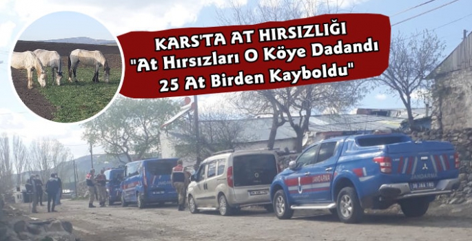 Kars'ta 25 At Çalındı