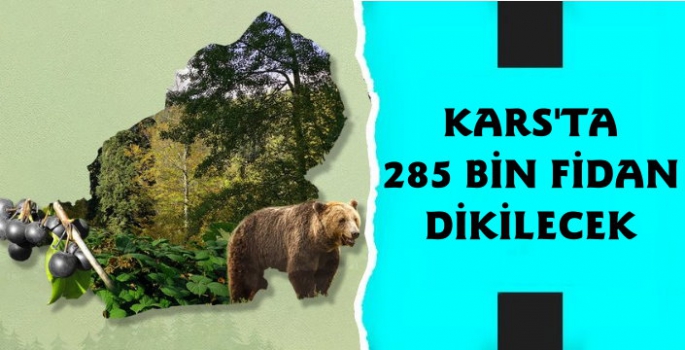 Kars'ta 285 Bin Fidan Dikilecek