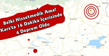 Kars'ta 4 Hafif Şiddetli Deprem Meydana Geldi