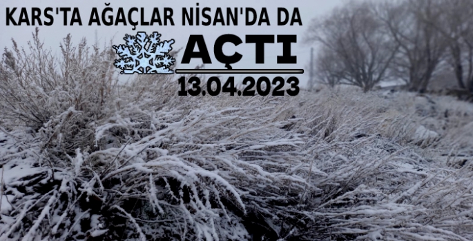 Kars'ta Ağaçlar Nisan'da da Kar Açtı