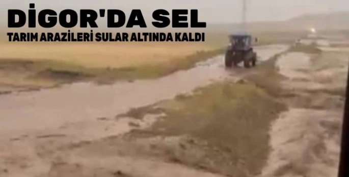 Kars'ta Aniden Kararan Gökyüzü Digor'da Sele Dönüştü: Tarım Arazileri ve Köy Yolu Sular Altında