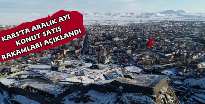 Kars'ta Aralık Ayı Konut Satış Rakamları Açıklandı