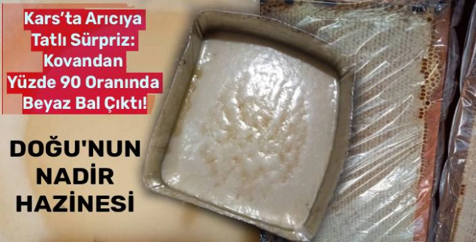 Kars'ta Arıcıya Tatlı Sürpriz: Kovandan Yüzde 90 Oranında Beyaz Bal Çıktı!