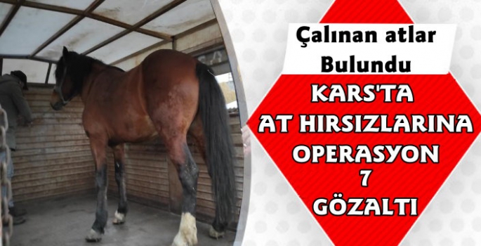 Kars'ta At Hırsızları Yakalandı