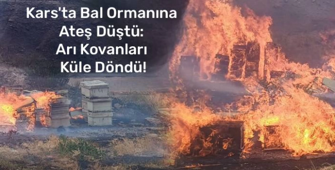 Kars'ta Bal Ormanına Ateş Düştü: Arı Kovanları Küle Döndü!
