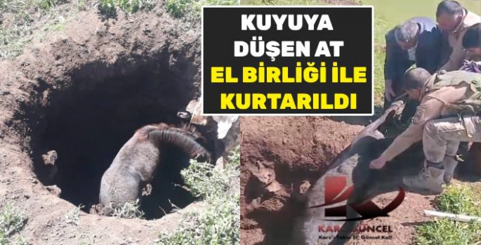 Kars'ta Başıboş At Kuyuda Bulundu: Köylüler Seferber Oldu