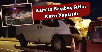 Kars'ta Başıboş Bırakılan Atlar Kazaya Neden Oldu