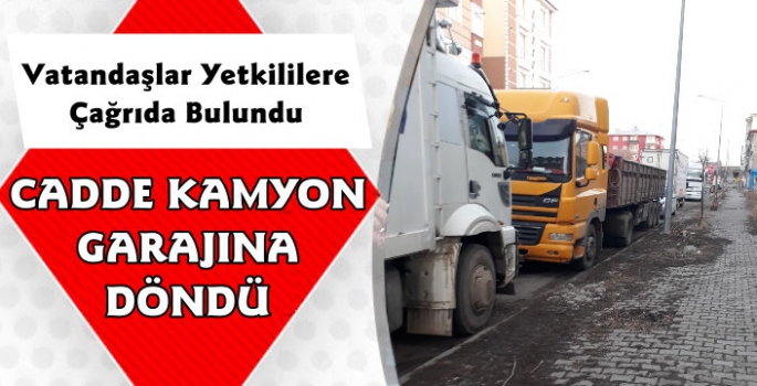 Kars'ta Cadde Kamyon Garajına Döndü