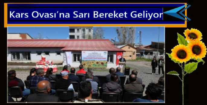 Kars'ta Çiftçiye Tohum Desteği: Selim'de Ayçiçeği Üretimi Başlıyor