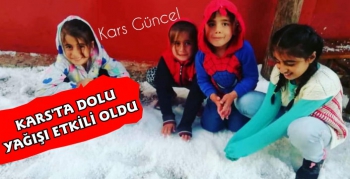  Kars'ta Dolu Yağışı Etkili Oldu