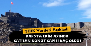 Kars'ta Ekim Ayında 323 Konut Satıldı