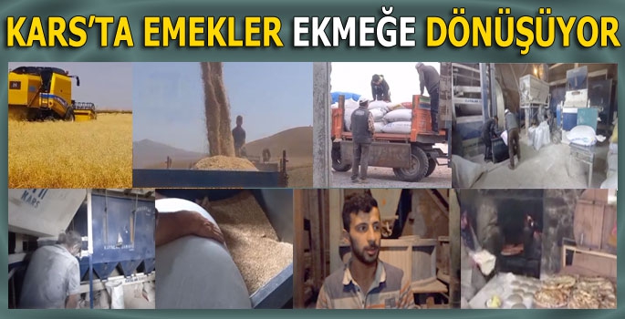 Kars'ta Emeklerin Ekmeğe Dönüşümü