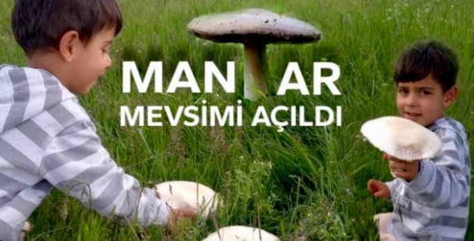 Kars'ta Güneş Açtı, Mantar Sezonu Başladı