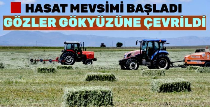 Kars'ta Hasat Mevsimi Başladı, Gözler Gökyüzünde