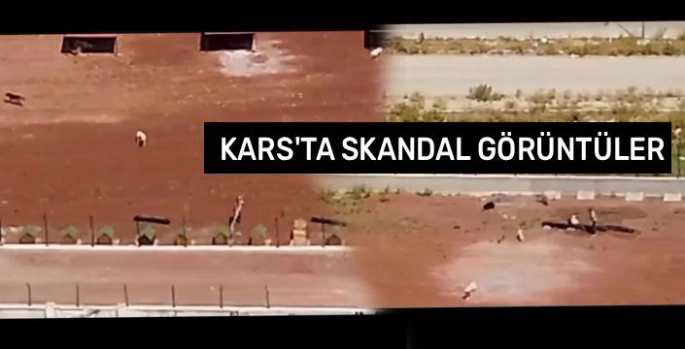 Kars'ta Hayvan Barınağı Skandalı: Tepkiler Çığ Gibi Büyüyor