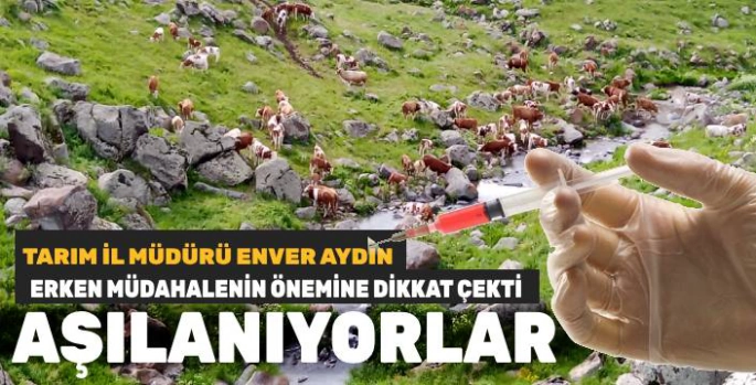 Kars'ta Hayvan Hastalıklarına Karşı Aşılama Seferberliği