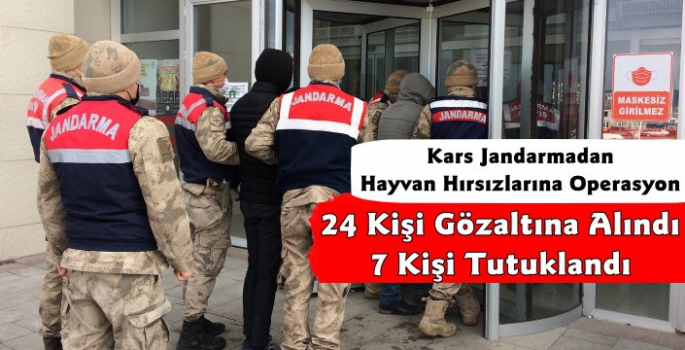 Kars'ta Hayvan Hırsızlarına Operasyon 24 Gözaltı 7 Tutuklama