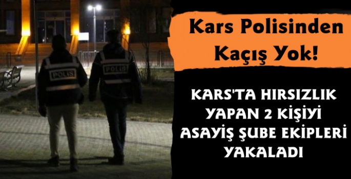 Kars'ta Hırsızlık Yapan İki Kişi Tutuklandı