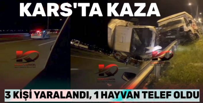 Kars'ta Kamyonet ile Tır Çarpıştı: 3 Yaralı, 1 Hayvan Telef Oldu