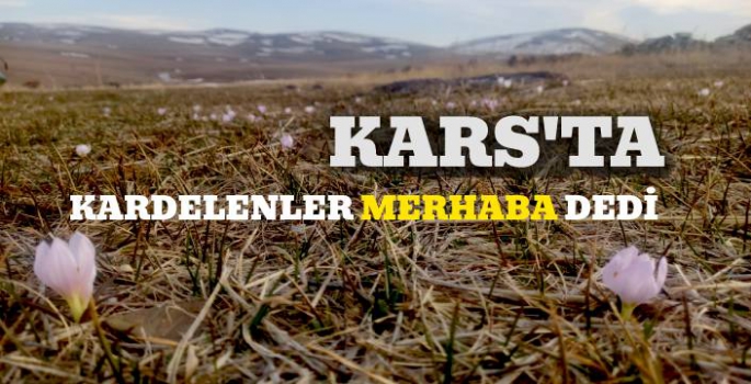 Kars'ta Kardelenler MERHABA dedi