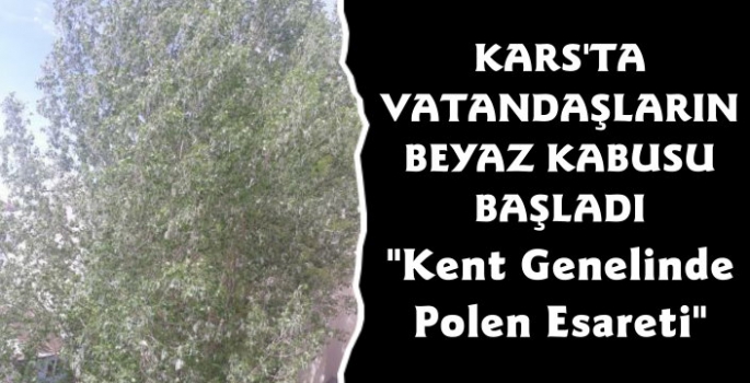 Kars'ta Kavak Ağaçlarının Polenleri Gökyüzünü Kapladı