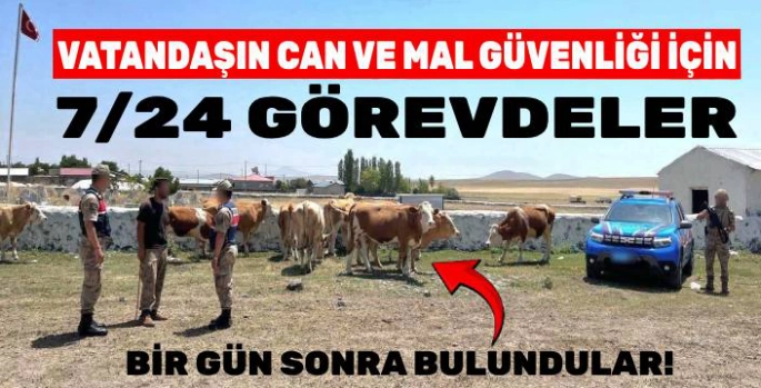 Kars'ta Kaybolan 10 Büyükbaş Hayvan, 1 Gün Sonra Bulundu
