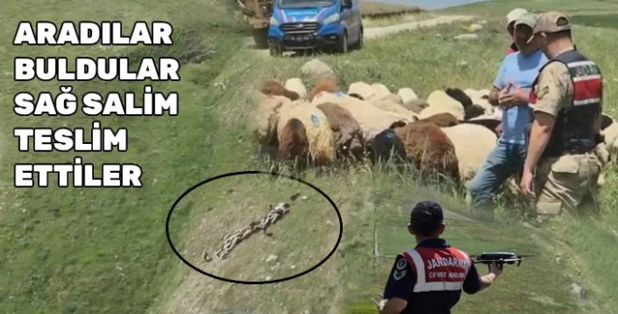 Kars'ta Kayıp Küçükbaş Hayvanlar Jandarma Tarafından Bulundu!