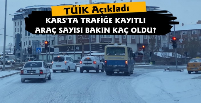 Kars'ta Kayıtlı Araç Sayısı 45 Bin 491 Oldu