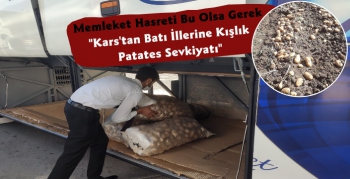 Kars'ta Kışlık Patates Hasadı