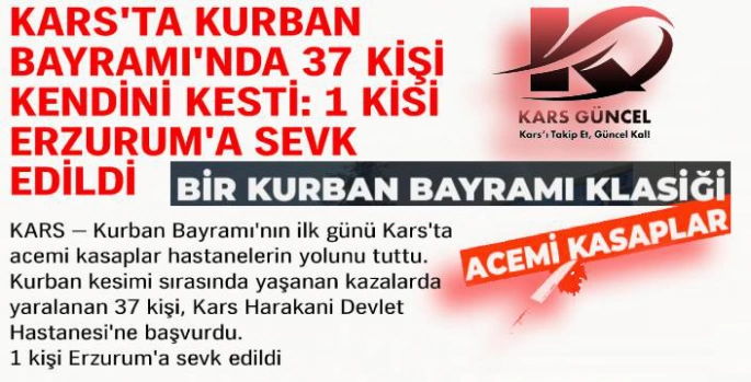 Kars'ta Kurban Bayramı'nda 37 Kişi Kendini Kesti: 1 Kişi Erzurum'a Sevk Edildi