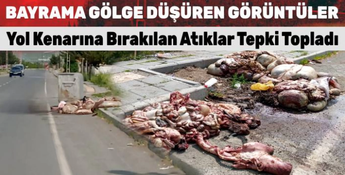 Kars'ta Kurban Bayramı'nda Çirkin Manzaralar: Yol Kenarına Bırakılan Atıklar Tepki Topladı