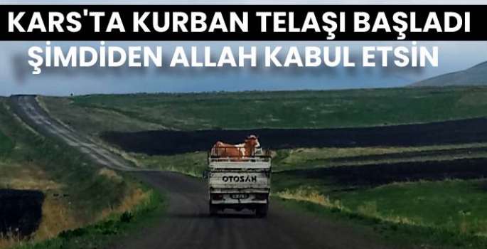 Kars'ta Kurban Telaşı Başladı