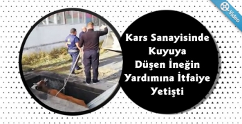 Kars'ta Kuyuya Düşen İneğin Yardımına İtfaiye Yetişti