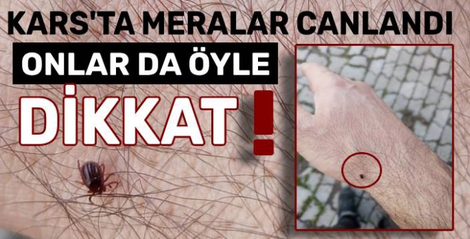 Kars'ta Meralar Canlandı, Kenelere Dikkat!