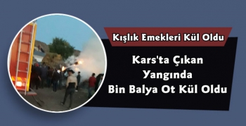 Kars'ta Otlukta Çıkan Yangın Kışlık Emeklerini Kül Etti