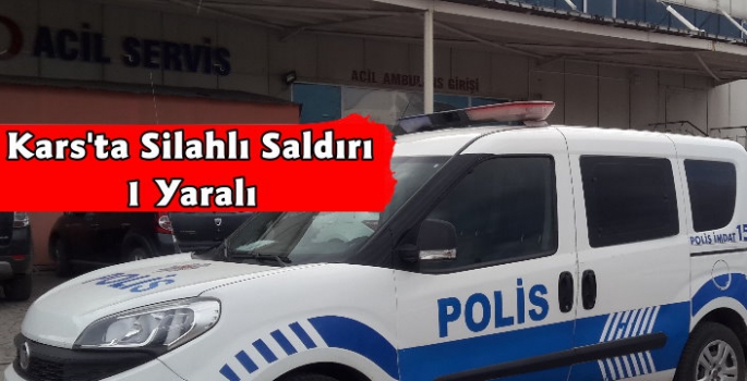 Kars'ta Park'ta Silahlı Saldırı 1 Yaralı