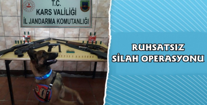 Kars'ta Ruhsatsız Silah Operasyonu