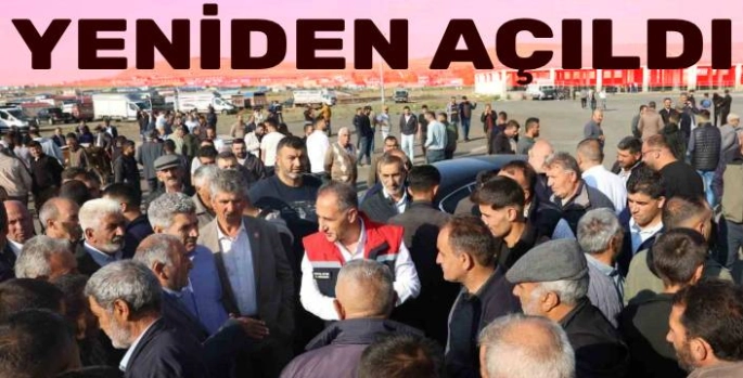 Kars'ta Şap Hastalığı Nedeniyle Kapatılan Hayvan Pazarı Yeniden Açıldı
