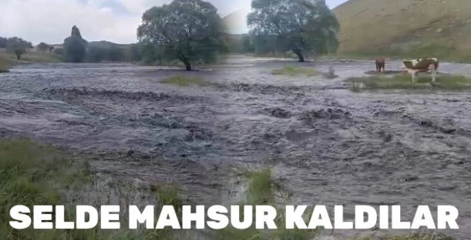 Kars'ta Sel Hayvanlar Mahsur Kaldı, Tarım Arazileri Zarar Gördü