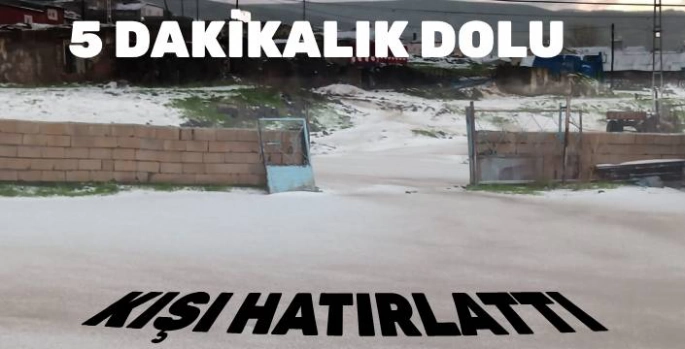 Kars'ta Şiddetli Dolu Etkili Oldu