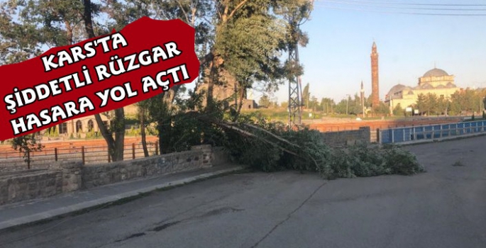 Kars'ta Şiddetli Rüzgar Ağaçları Devirdi