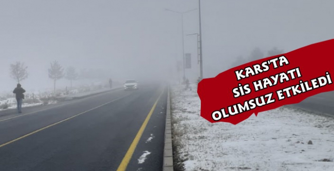 Kars'ta Sis Etkili Oldu