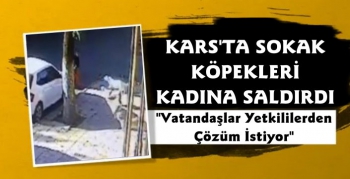 Kars'ta Sokak Köpekleri Kadına Saldırdı