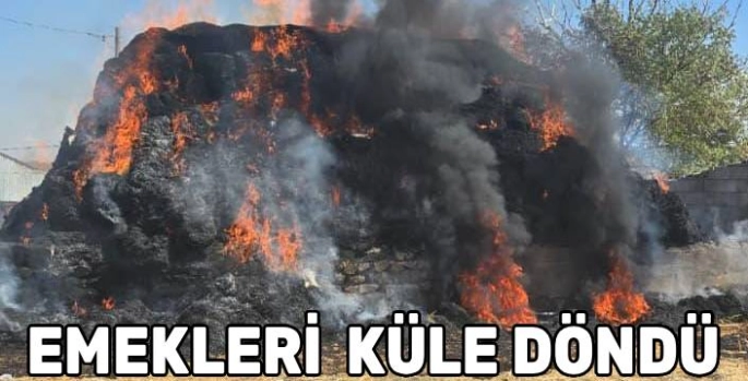 Kars'ta Tarım Emekçisinin Emeği Kül Oldu: 1300 Balyalık Zarar